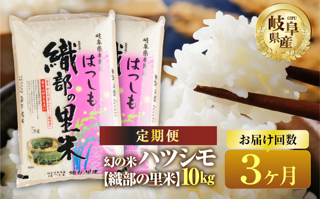 
            【令和7年産】【3回  定期便 】 ハツシモ 10kg (5kg×2袋 ) × 3回【織部の里米(R)】 米 こめ ごはん 白米 岐阜県産 本巣市 お米 精米  寿司 幻の米 岐阜県産 もとすファーム
          