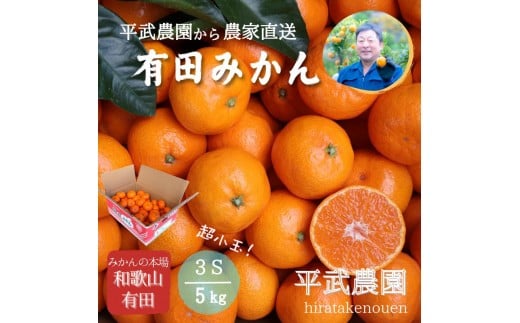 
            農家直送！有田みかん（5kg 3Sサイズ（超小玉）秀品）平武農園　～蛍飛ぶ町から旬の便り～
          