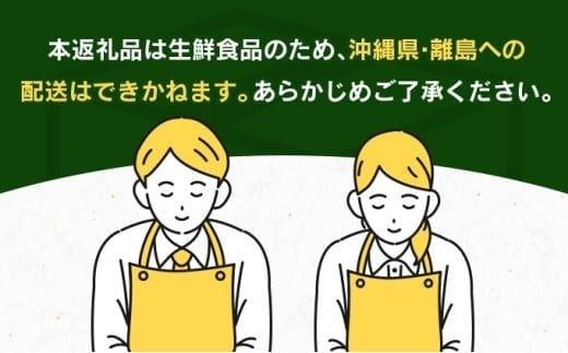 期間限定 みやざき 完熟マンゴー 3L × 1玉 先行予約 数量限定 国産 食品 果物 くだもの フルーツ 厳選 濃厚 デザート おやつ おすすめ 冷蔵 ご褒美 贅沢 おすそわけ ギフト プレゼント 