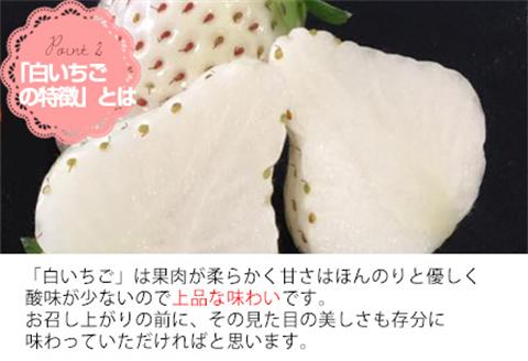 『先行予約』【令和7年2月上旬から4月下旬までにお届け】白い宝石 白いちご 450g 贈答用 いちご イチゴ 苺 フルーツ 果物 希少