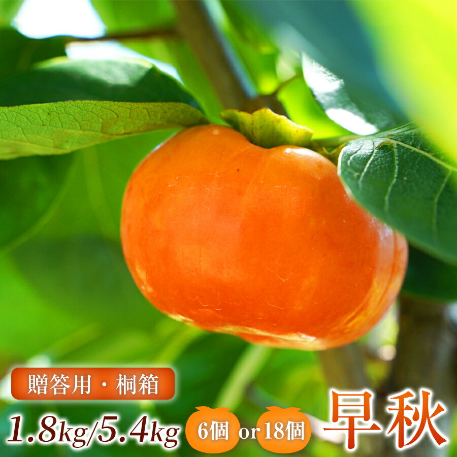 【ふるさと納税】【贈答用・桐箱】 早秋 柿 ( 6個 / 1.8kg ) 選べる箱数 先行予約 令和8年10月中旬順次発送 |【知る人ぞ知る希少柿】 軽やかな歯ごたえと上品な甘み フルーツ 果物 完熟 国産 贈答用 贈り物 桐箱 ギフト プレゼント お歳暮 季節の果物 高級 岐阜県 北方町