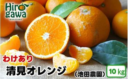 清見 オレンジ 家庭用 10kg+250g（痛み補償分） 光センサー / 訳あり 清見オレンジ 清見タンゴール きよみ 清美 甘い 和歌山 柑橘 ※2月上旬～6月上旬に順次発送 ※北海道・沖縄・離島への配送不可 【ikd011-c-10A】