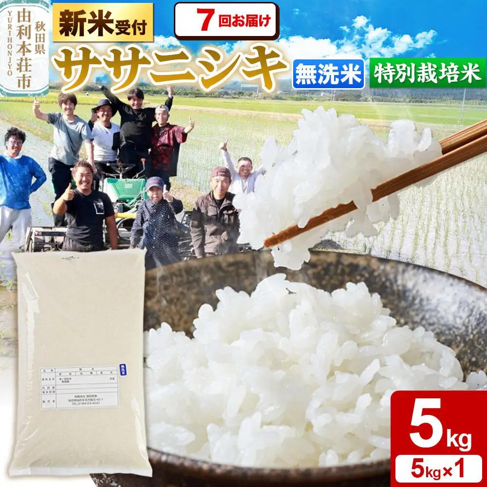 《令和8年産 新米受付》《定期便7ヶ月》【無洗米】特別栽培米 ササニシキ 5kg 秋田県産