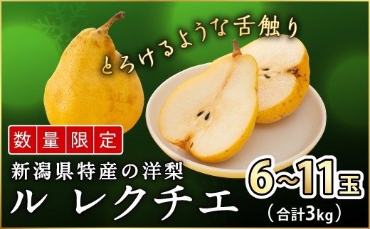 先行予約 ル レクチェ 自家用 3kg 訳あり [2026年11月下旬発送]新潟県産 洋梨 ル レクチエ ル・レクチェ [岩福農園] 【010P026】