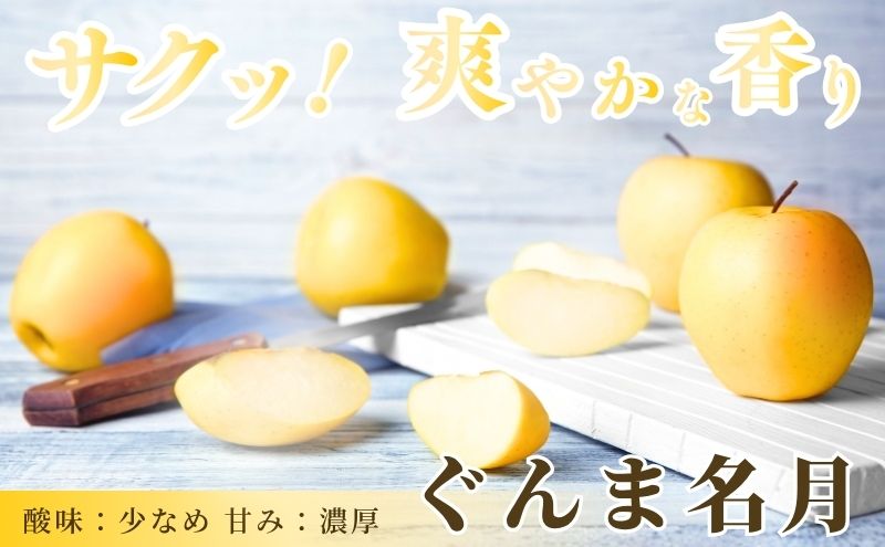 りんご 長野 贈答用 リンゴ ぐんま名月 約4.5kg（14玉～18玉） 産地直送 ギフト プレゼント 贈答 贈答品 贈り物 蜜 フルーツ 果物 デザート 林檎 秋 旬 信州 長野県