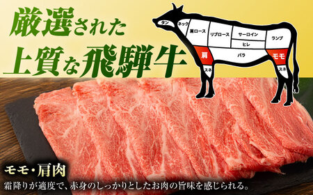 【3回定期便】 飛騨牛 しゃぶしゃぶ用 赤身 600g（300g×2） / しゃぶしゃぶ 牛肉 和牛 定期便 肉 / 白川町 / 浅井商店[AWBJ018]