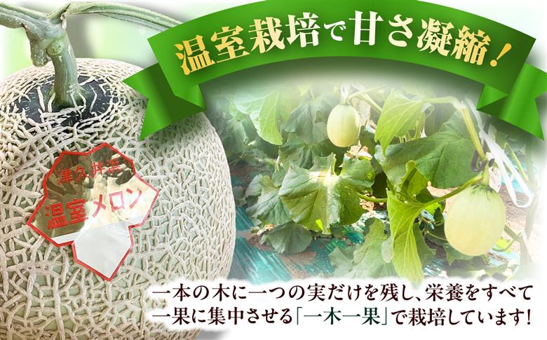 【数量限定30セット】神奈川県産 津久井浜 温室メロン アールスメロン 大玉 糖度16度前後 約2.0kg以上 1玉【小林マルモ農園】 [AKJG001]