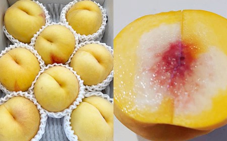  数量限定！マーブル桃「あかつき姫」(有袋・無袋) 秀品 約2kg [柔らかくなる桃] 【令和6年産先行予約】FU22-209