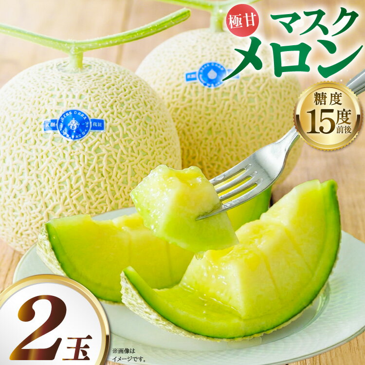 【ふるさと納税】 【先行予約】AA048 メロン マスクメロン 2玉入 [ メロン めろん 西瓜 フルーツ 果物 くだもの 青肉 甘い 芳香 高糖度 糖度 長崎県 島原市 ]