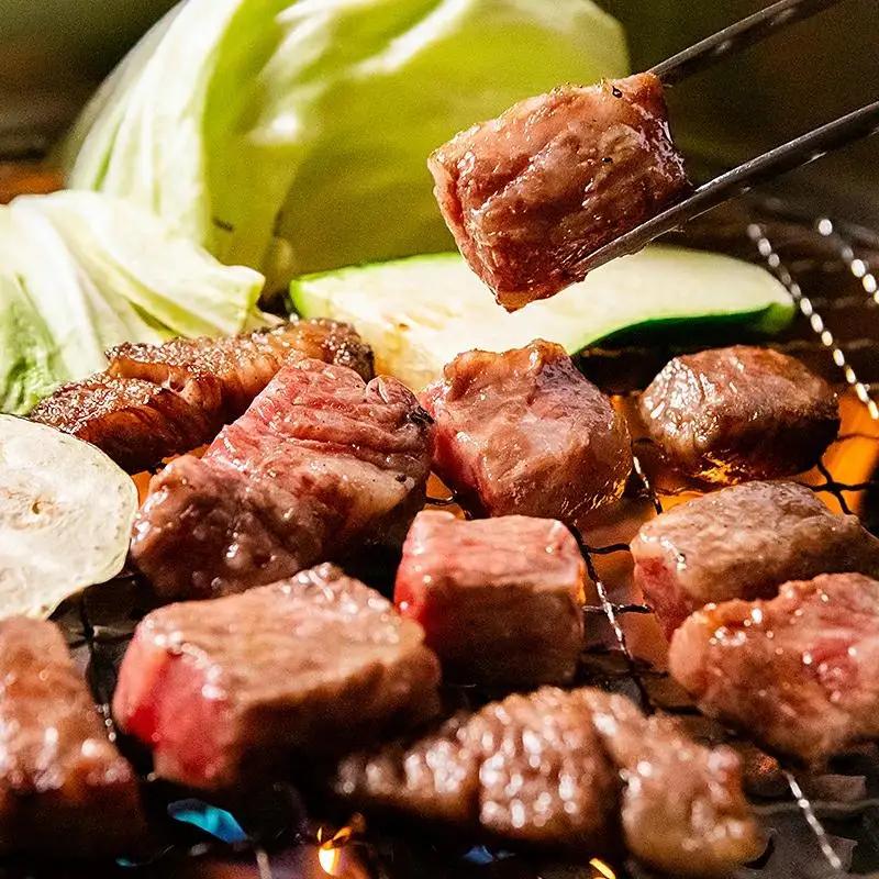 サイトーファームギフト券 9000円分（1000円×9枚）「宮崎和牛 齋藤牛」＜5-4a＞牛肉 黒毛和牛 お食事券 補助券