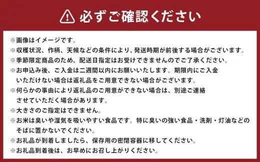 岩手県二戸市産 舌崎りんご サンふじ ・ シナノゴールドと令和8年産 いわてっこ 5kg 精米セット ／ りんご リンゴ アップル 果物 果実 フルーツ 甘味 酸味 歯ごたえ ビタミン ミネラル 新米