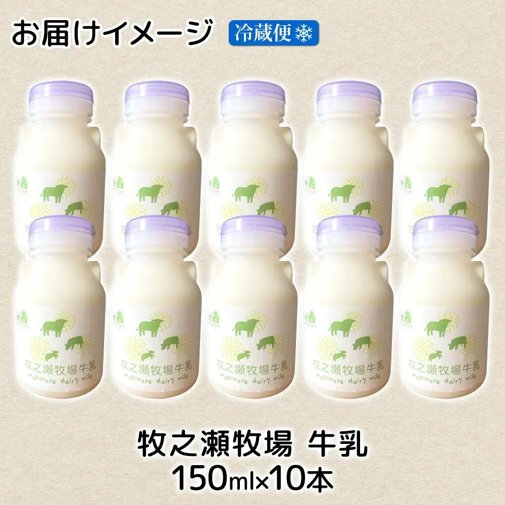 牧之瀬牧場 牛乳 150ml × 10本 牛乳 牛 乳 みるくミルク ノンホモジナイズド牛乳 脂肪 放牧 濃厚 搾りたて 甘い クリーミー さっぱり 牛耳ボトル 可愛い ギフト 冷蔵 牧之瀬牧場 北海