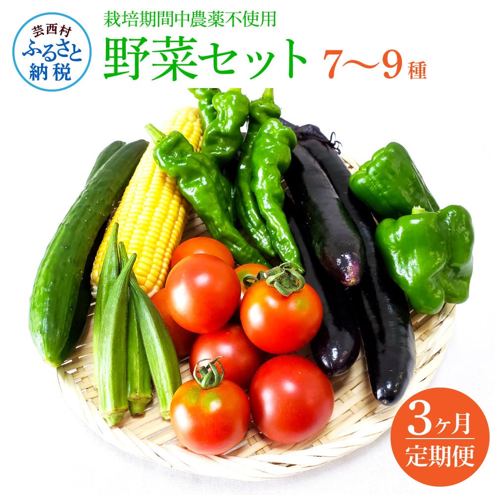 
《3カ月定期便》栽培期間中農薬不使用！ 野菜セット（7‐9種類）
