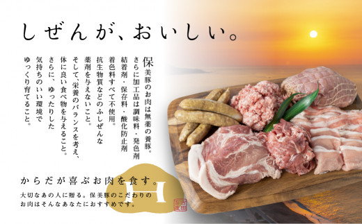 保美豚プレミアム・真空冷凍肉無添加　7品目入り×2セット ／ 豚肉 加工品 ローススライス ウインナー ミンチ 完全薬剤不使用 愛知県 特産品 産地直送 田原市 渥美半島
