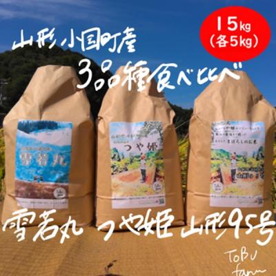 ふるさと納税 小国町 山形県小国町産　つや姫・雪若丸・山形95号　3品種食べ比べセット(精米各5kg)