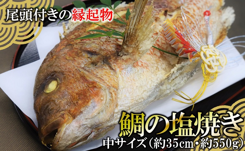 【尾頭付きの縁起物】 活塩焼き鯛（中サイズ） 1匹（約35cm・約550g）22-67