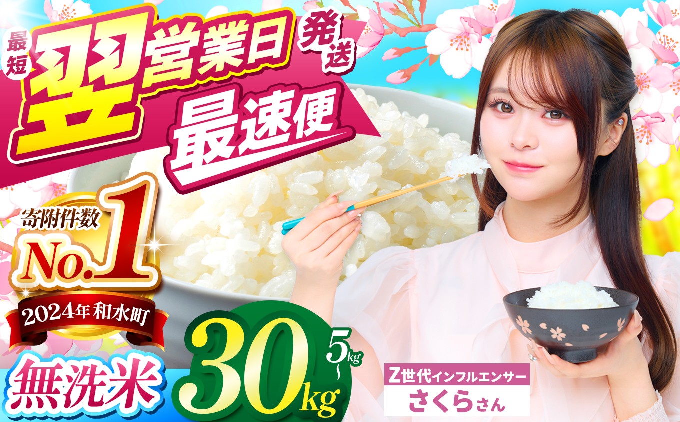 
                  【 最短 翌営業日 ～ 7営業日で発送 】【 チョイス限定 】 熊本県産 ほたるの灯り 無洗米 選べる 5kg ～ 30kg | 令和7年産 小分け 5kg 単位 5kg 10kg 15kg  20kg 25kg 30kg 熊本県 熊本 くまもと 和水町 なごみ 訳あり 規格外 不揃い 単一米 単一原料米 ブレンド 複数原料米 こめ 米 ごはん 銘柄米 日本遺産 返礼品 無洗米 独自ブレンド
                