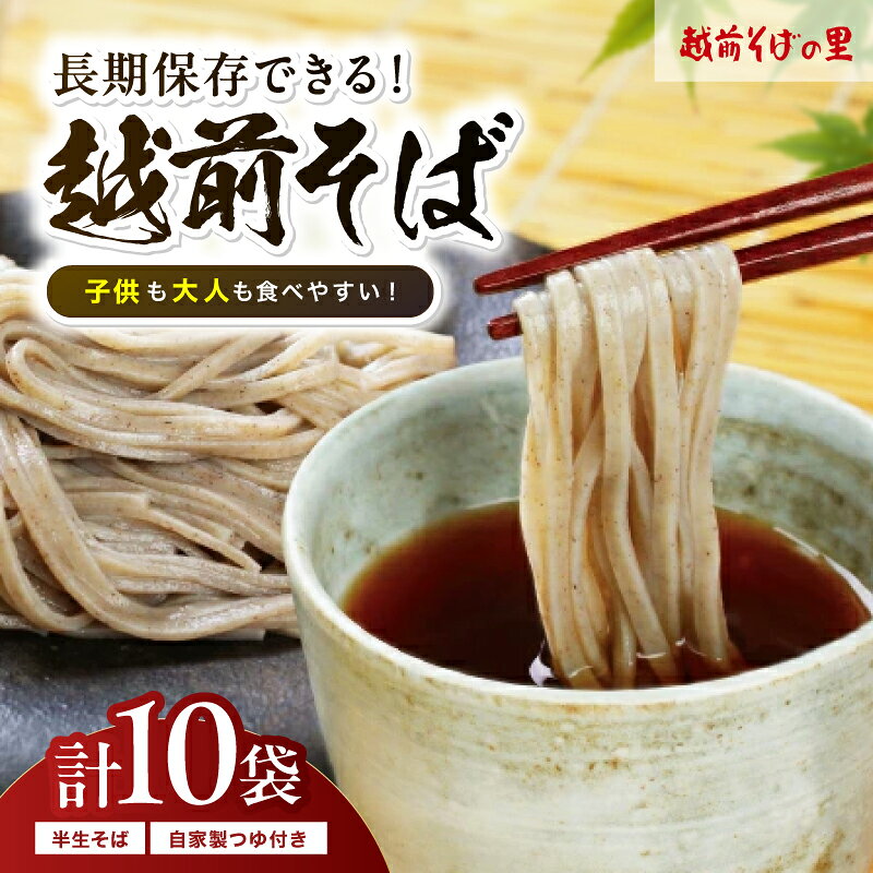 【ふるさと納税】創業90余年の老舗・越前そばの里　常温で長期保存できる「越前そば」10食　楽天そばランキング常連の 越前そばの里がふるさと納税でも！送料無料 越前そば そば 福井県 越前市 年越しそば（18209）
