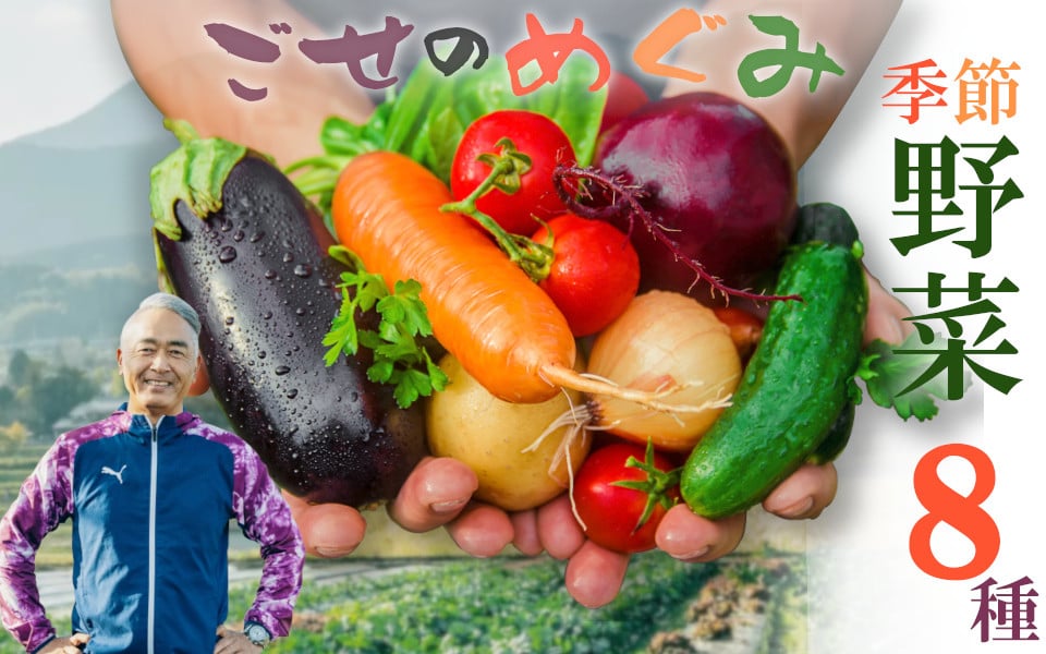
            【冷蔵】（月曜日発送）季節のこだわり野菜セット ／ 奥野ファーム大和 季節野菜 有機肥料 奈良県 御所市
          