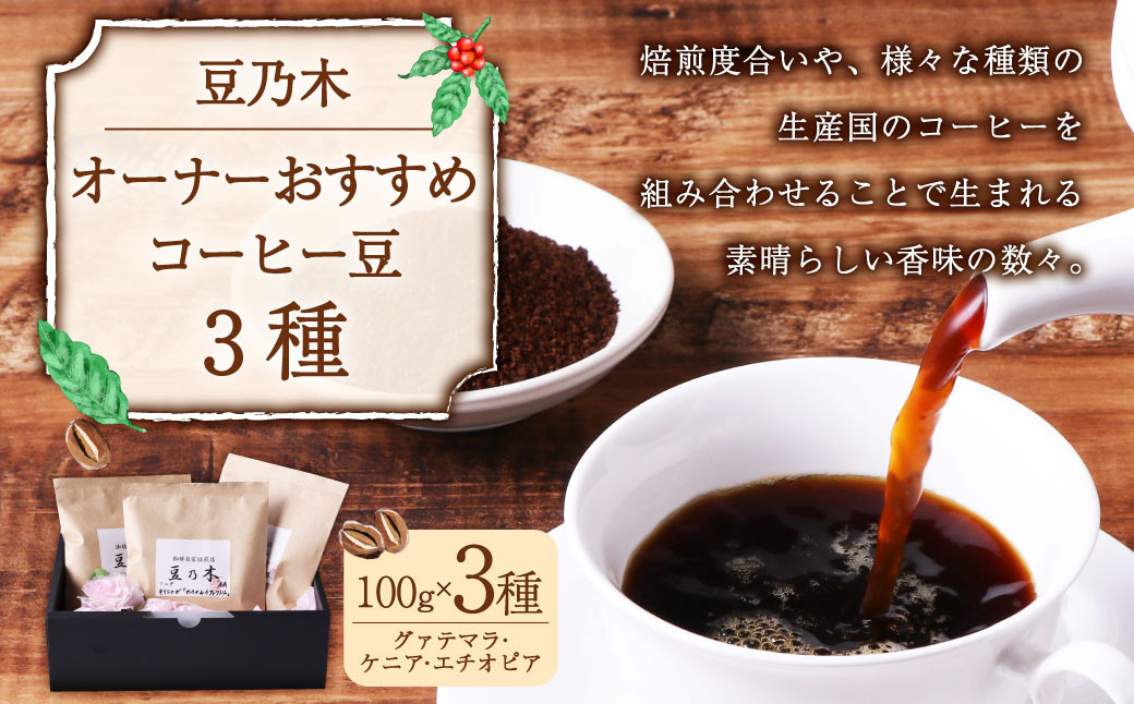 
            豆乃木オーナーおすすめコーヒー豆3種（グァテマラ、ケニア、エチオピア）セット コーヒー コーヒー豆 コーヒー粉 飲み比べ 各100g×3袋 合計約300g 冷蔵 豆の専門店 福岡県 京都郡 苅田町
          