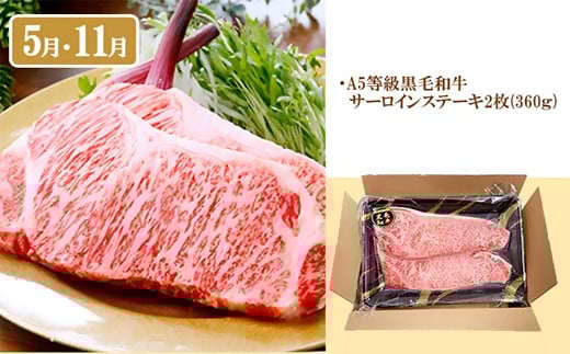 定期便(6回)A5等級黒毛和牛・黒豚・かつお・まぐろ FF-0058【1166770】 _ 定期便 牛肉 肉 お肉 サーロイン ステーキ  焼肉  ハンバーグ 切り落とし 豚肉 しゃぶしゃぶ ロース 