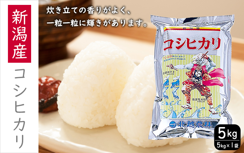 こしひかり 新潟産コシヒカリ 5kg 米 お米 こめ コメ ごはん 