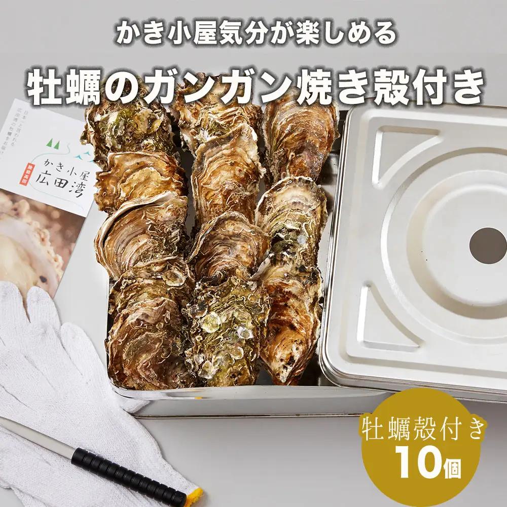 牡蠣のガンガン焼き 殻付き10個セット 浜焼き 海鮮 牡蠣