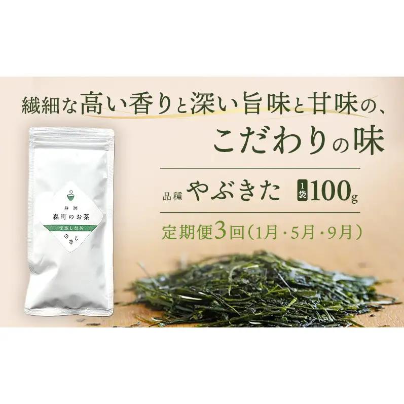 【定期便3回】深蒸し煎茶100g（1袋）お茶 緑茶 深蒸し煎茶 静岡茶 高級深蒸し煎茶 高級煎茶 静岡のお茶 水出し煎茶 静岡 浜松市