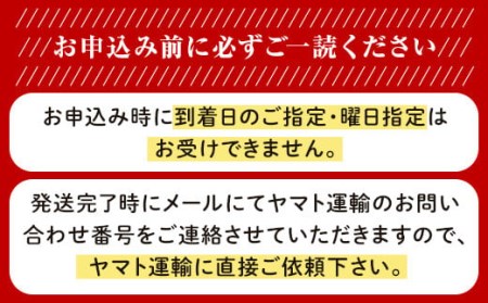 【訳あり】シャインマスカット晴王2房【2024年9月中旬～10月下旬発送予定】（いばら愛菜館）