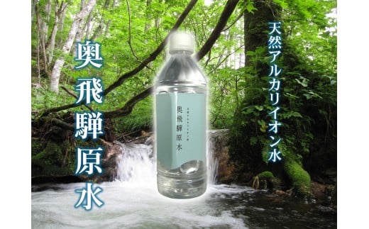 奥飛騨原水５００ｍｌ×２４本