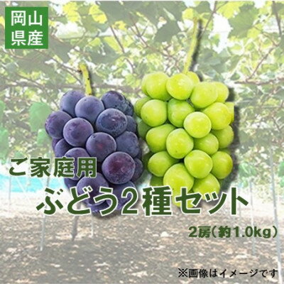 【ふるさと納税】【2026年10月上旬～順次発送】訳ありシャインマスカットとピオーネ詰合せ 2房 1kg ご家庭用【配送不可地域：離島・北海道・沖縄県】【1740141】