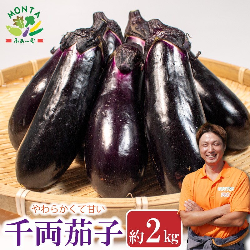 
                  野菜 ナス 千両茄子 約2kg なすび 茄子 夏野菜 野菜 やさい 漬物 味噌汁 サラダ スープ カレー 麻婆豆腐 和食 洋食 中華 おかず おつまみ 惣菜 弁当 日用 ギフト 贈り物 プレゼント 焼肉 アウトドア BBQ 朝採れ 新鮮 産地直送 健康 美容 冷蔵 送料無料 徳島県 阿波市 MONTAふぁ～む
                