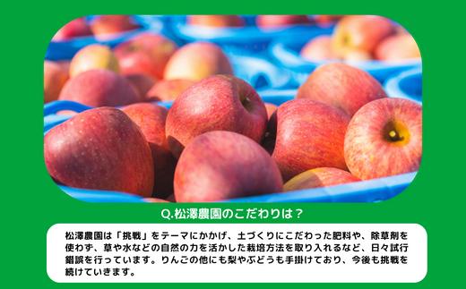 梨 豊水 家庭用 3kg ( バラ詰め ) 松澤農園 本州限定 2026年9月中旬頃から2026年9月下旬頃まで順次発送予定 令和8年度収穫分 長野県 飯綱町 [1802]