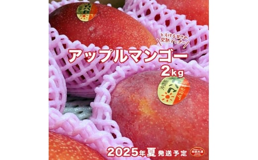 【先行予約】ご家庭用ご褒美アップルマンゴー　2kg