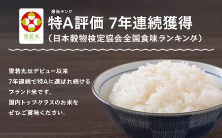 お米 米 令和7年産 【2026年5月下旬発送】 米 雪若丸 10kg 大石田町産 特別栽培米 精米 ※沖縄・離島への配送不可 ja-yusxa10-5s