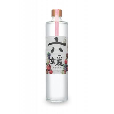 ふるさと納税 松山市 道後ジン　六媛　500ml