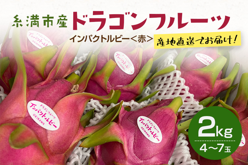 【2025年発送】糸満市産　「ドラゴンフルーツ　インパクトルビー　赤」2kg　（4～7玉） 78-2