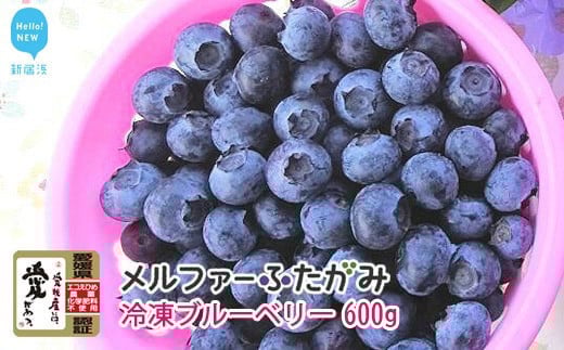 
            【先行予約】完熟ブルーベリー600g（冷凍）毎年人気の冷凍ブルーベリーです メルファーふたがみ
          
