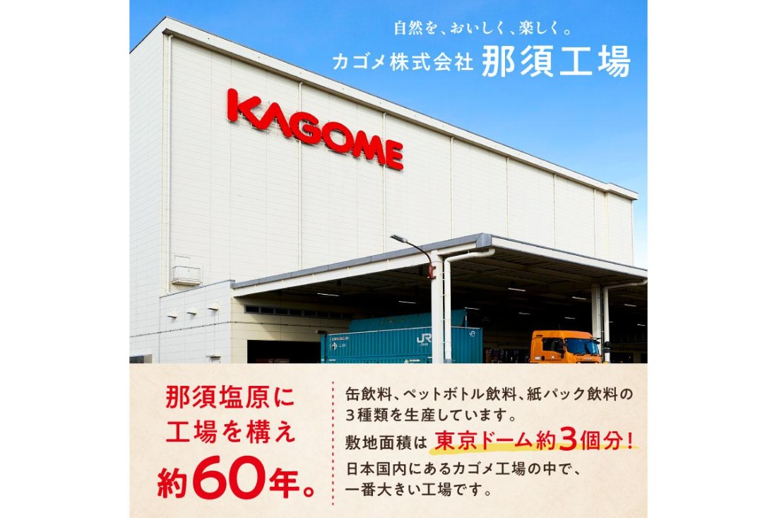 ns001-027　カゴメ　野菜生活100(マンゴーサラダ)720ml PET×15本