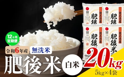 【12ヶ月定期便】熊本県産 肥後米 無洗米 白米 20kg 1袋5kg 米 お米 令和6年産 九州産 熊本県産 送料無料《お申込み翌月に出荷予定》 無洗米 白米 米