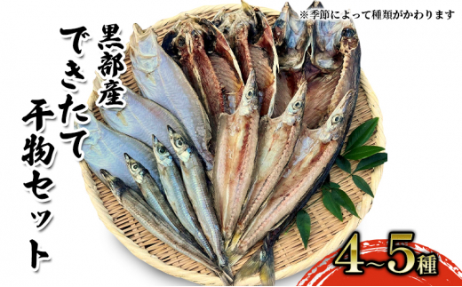 
[№5313-0403]できたて干物セット 4～5種 おまかせ 富山県黒部市/産地直送 旬 魚介 魚 さかな 詰め合わせ ひもの 富山湾 名水 産地直送 生地
