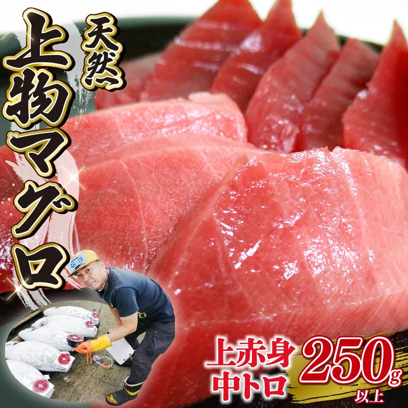 
            天然 マグロ 2種 250g 以上  刺身 上物 まぐろ 鮪 赤身 中トロ 冷凍 静岡県 藤枝市
          