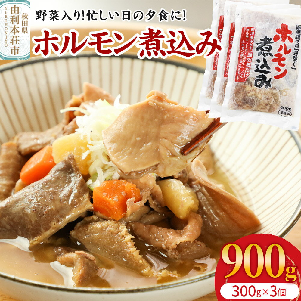 【ふるさと納税】ホルモン煮込み（野菜入り）3個入（300g×3）