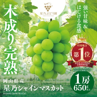 
                  ＜三つ星ブランド＞星乃シャインマスカット 数量限定 (岡山県産) 1房(650g以上)【1746014】
                