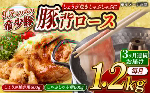 【月1回約1.2kg×3回定期便】大西海SPF豚 背ロース しょうが焼き用＆しゃぶしゃぶ用 計約3.6kg 長崎県/長崎県農協直販 [42ZZAA085]