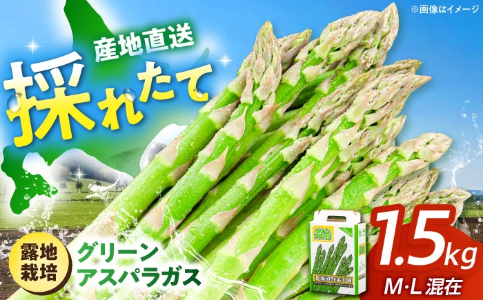 
                  【2026年5月上旬以降順次発送】 グリーンアスパラガス 1.5kg （M・L混在/露地栽培）《喜茂別町》【久保田農園】 アスパラ あすぱら アスパラガス あすぱらがす グリーンアスパラ 冷蔵 冷蔵配送 野菜 春野菜 季節の野菜 北海道 [AJAM001] 13000 13000円
                