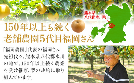 梨 あきづき 約5kg 《9月上旬-9月末頃出荷》梨梨梨梨あきづきあきづき