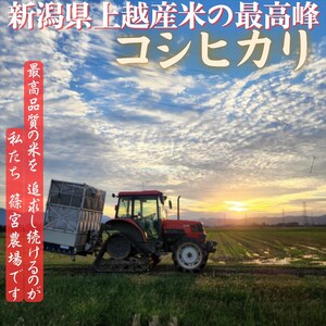 令和8年産【10月下旬配送】 新米 先行予約 新潟県産 コシヒカリ 10kg 最高品質のお米を追求し続ける 篠宮農場 上越市 精米