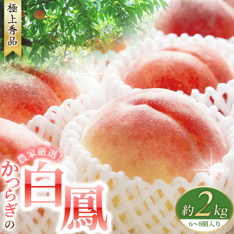 【ふるさと納税】 桃 白鳳 約2kg 6〜8個 ☆秀品☆【2025年6月末頃より順次発送】 桃の王様！ こだわり農家厳選 もも モモ 果物 くだもの フルーツ 先行予約 人気 和歌山の桃 贈答 贈り物 プレゼント 数量限定 お取り寄せ かつらぎ町 くしがきの里 送料無料