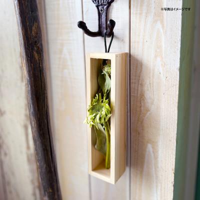 ふるさと納税 酒田市 ゼロフラワー「花いちりん」S×3セット/草花　フリーズドライフラワーインテリアシリーズ |  | 02